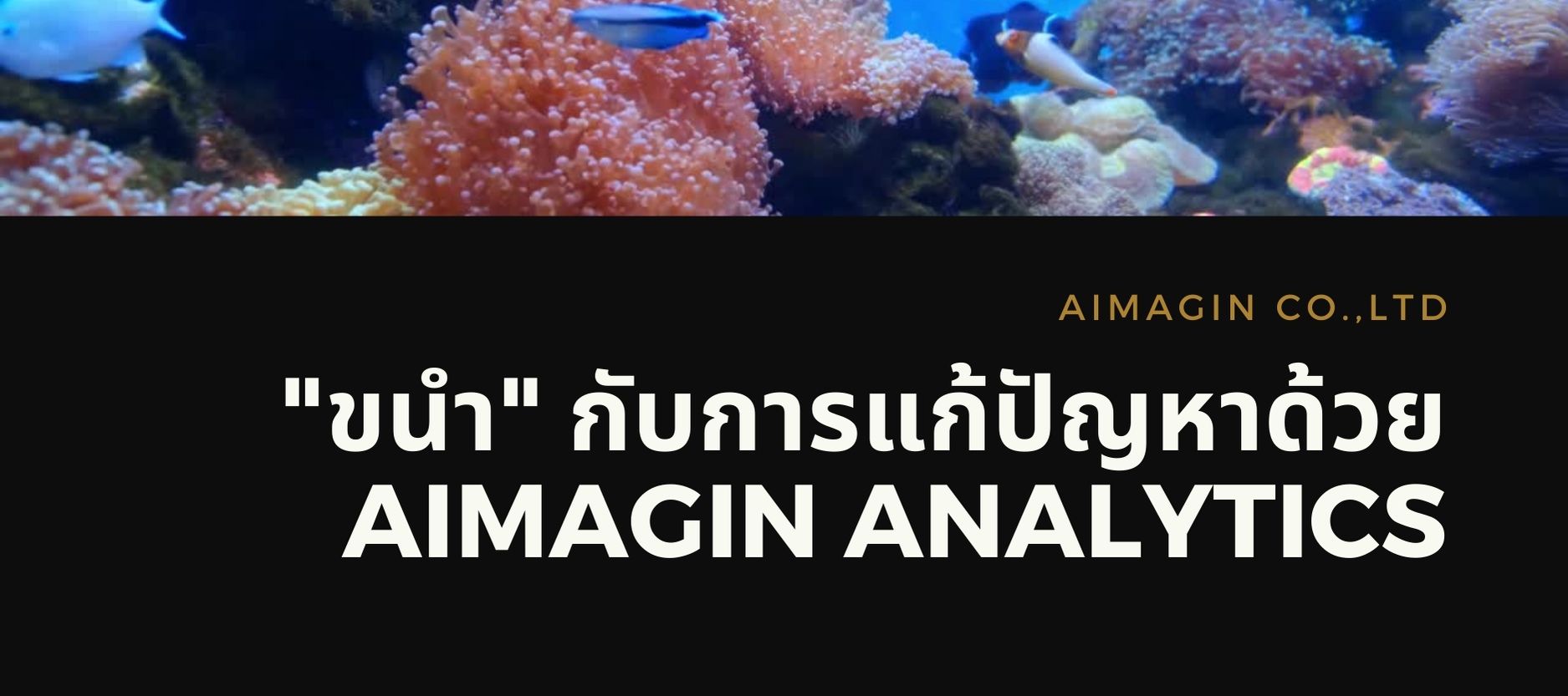Aimagin Analytics for Shellfish Culture